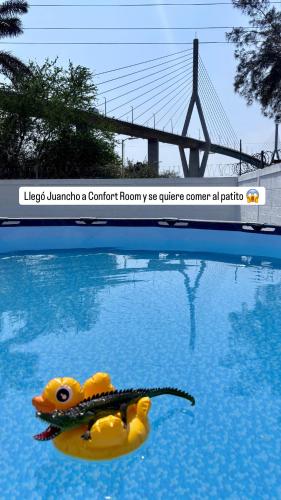 a yellow rubber duck in a swimming pool with a bridge at Confort room in Mata Redonda