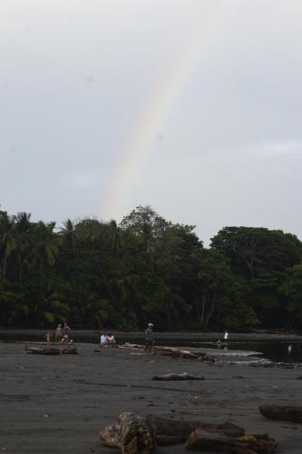 a group of people standing on a beach at Coconut Lodge #2 in Pavones