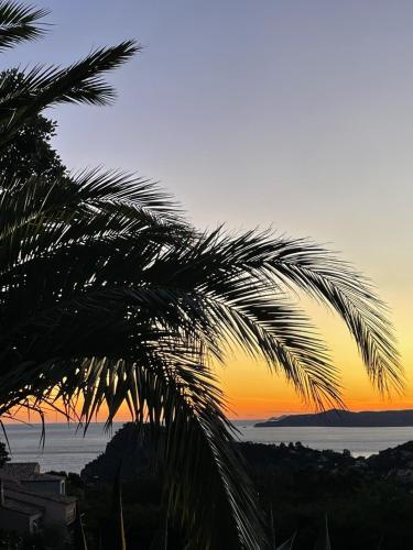 un palmier au coucher du soleil en arrière-plan dans l'établissement Stunning Villa with Pool, Sea View & Petanque in Golfe Saint Tropez, à Rayol-Canadel-sur-Mer