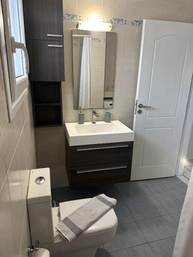 a bathroom with a sink and a toilet and a mirror at Barewake 's place Charming Retreat - Calm escape Apt in Kamári