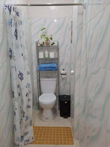 a small bathroom with a toilet and a shower at Weigel's Beach House in Asturias