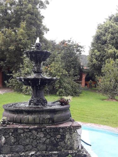 Κήπος έξω από το Shambala SPA Medicinal y Retiros