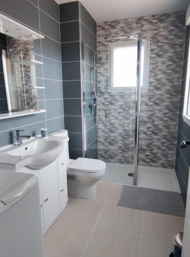 une salle de bain avec une douche, des toilettes et un lavabo dans l'établissement L'appartement Verdalle, proche de la plage de La Hume, à Gujan-Mestras