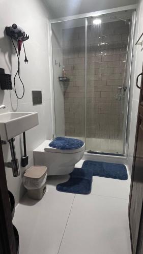 a bathroom with a shower and a toilet and a sink at JM House in Viseu