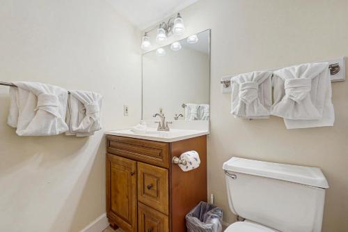 a bathroom with a sink and a toilet and a mirror at Mountain Splendor in Gatlinburg