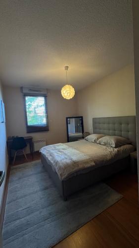 une chambre avec un grand lit et un lustre dans l'établissement Logement de la Daurade, à Toulouse
