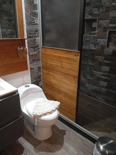 a bathroom with a white toilet and a shower at Departamento con súper desayuno in Cusco