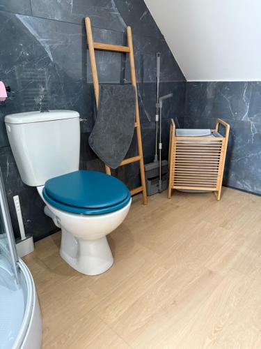 a bathroom with a toilet with a blue seat at L'escapade 24h du Mans 4 pers Sauna in Moncé-en-Belin