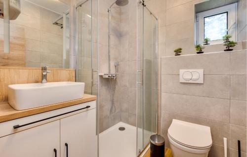 a bathroom with a shower and a toilet and a sink at Nice Home In Zadrkovec With Wifi in Zadrkovec