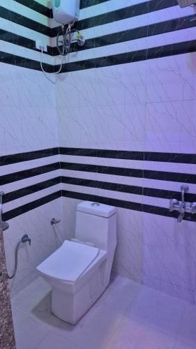 a bathroom with a toilet and a sink at Baba Shyam hotel in Rīngas