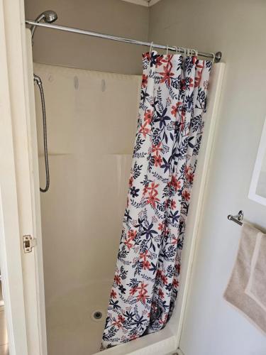 a shower curtain with a floral pattern in a bathroom at On Tate in Waitara