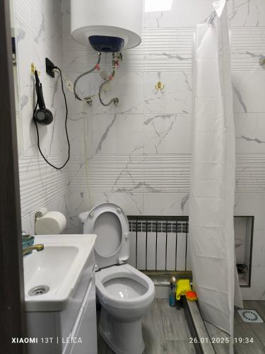 a small bathroom with a toilet and a sink at HADIA guest House in Karakol