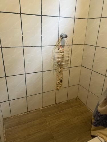 a bird in a cage on a tiled wall at Woodstock Hostel in Sámara