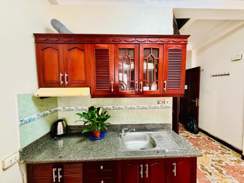 a kitchen with a sink and wooden cabinets at IL Divo Hostel & Spa Hàng Đào in Hanoi
