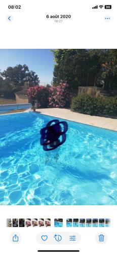- un frisbee bleu dans une piscine dans l'établissement Claire fontaine, à Beaumont-du-Périgord