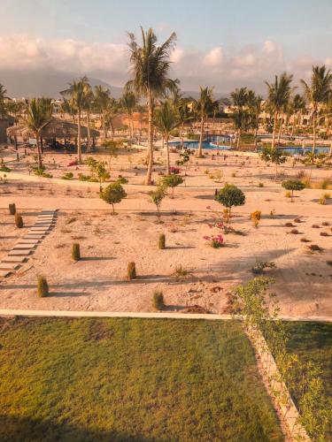an aerial view of a beach with palm trees at Garden Villa in Ţāqah