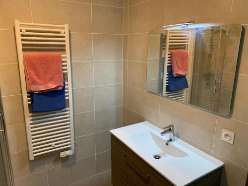une salle de bain avec un lavabo et un miroir dans l'établissement Grande chambre appartement Clara, à Chambéry