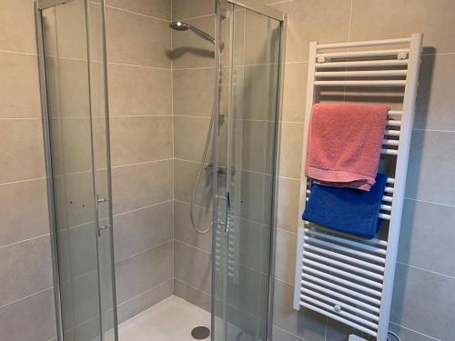 La salle de bains est pourvue d'une cabine de douche en verre. dans l'établissement Grande chambre appartement Clara, à Chambéry