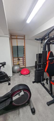 a room with a gym with several exercise equipment at VilaVala in Nymburk