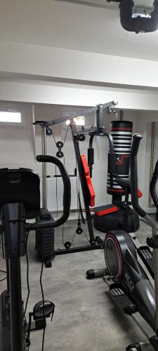 a gym with several exercise equipment in a room at VilaVala in Nymburk