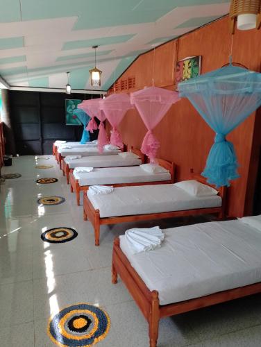 a row of beds lined up in a room at Greenbury Kite Hostel & Restaurant in Kalpitiya