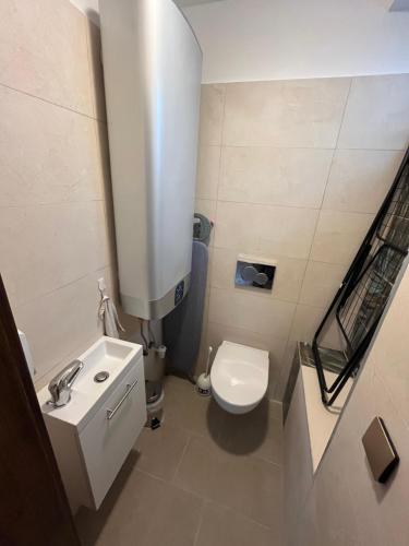 a small bathroom with a toilet and a sink at ElDorado apartman in Zalaegerszeg
