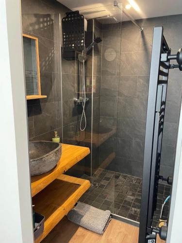 une salle de bain avec douche et lavabo dans l'établissement Appartement 2 chambres L'Oréade Sancy, à La Bourboule