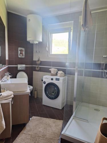 a bathroom with a washing machine and a shower at Apartment Alma in Kravlja