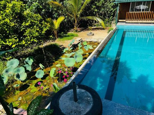 a swimming pool with a pond with plants next to it at Ro Villa in Weligama