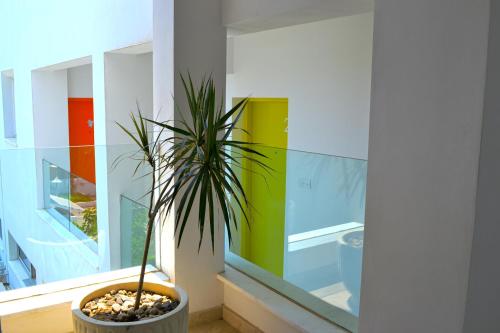 Fotografie z fotogalerie ubytování Napian Suites v destinaci Ayia Napa