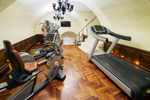 a gym with a treadmill and a elliptical trainer at Arcadia Boutique Hotel in Bratislava