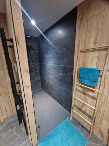 a shower with a glass door in a room at Gite le petit vosgien in La Bresse