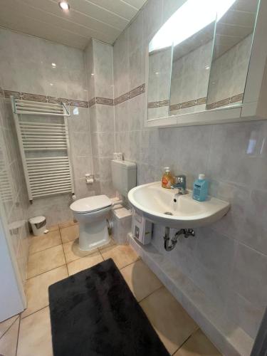 a bathroom with a sink and a toilet at Eleni in Bad Bramstedt