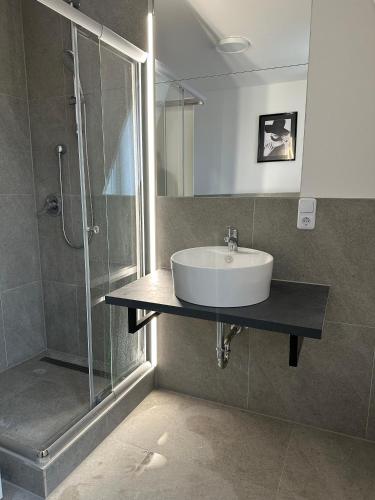 a bathroom with a sink and a shower at Stellas Monteurwohnungen in Crimmitschau