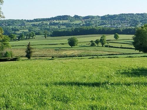 a field of green grass with trees in the distance at Cidre Bois in Saint-Sulpice-le-Dunois