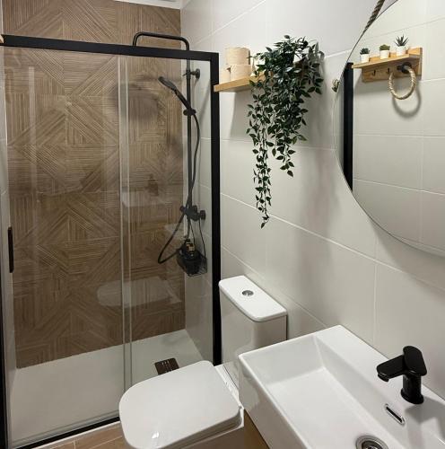 a bathroom with a shower and a toilet and a sink at Vv Estudio88 in Valverde
