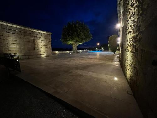 a stone wall with a tree at night at Ancien Château viticole in Bourg-sur-Gironde