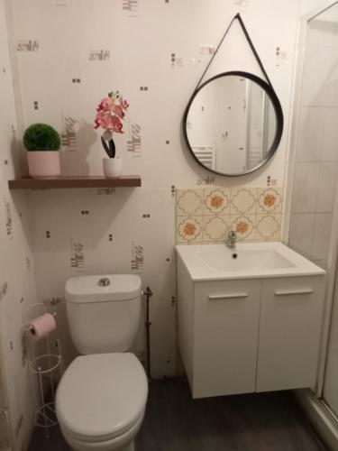 une salle de bain avec toilettes, lavabo et miroir dans l'établissement Close to Beaches and Bayeux, à Tour-en-Bessin