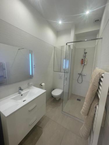 une salle de bain avec un lavabo, une douche et des toilettes dans l'établissement Cosy apartment, à Cannes