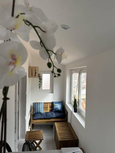 un salon avec un canapé bleu et une fenêtre dans l'établissement Appartement T3 - centre ville - climatisation - internet, à Saintes-Maries-de-la-Mer