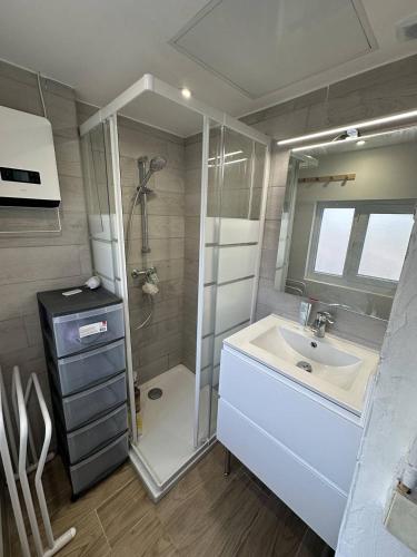 une salle de bain avec un lavabo et une douche dans l'établissement Appartement T3 - centre ville - climatisation - internet, à Saintes-Maries-de-la-Mer