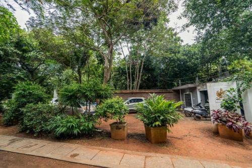 a house with trees and plants in a yard at Gaia's Garden Guest House in Auroville