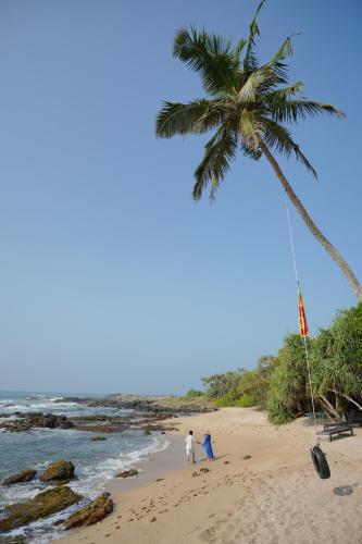 two people standing on a beach with a palm tree at Moonrise villa in Tangalle
