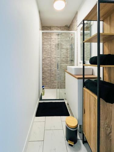 une salle de bain avec douche et lavabo dans l'établissement Cambrai Cosy Home, à Cambrai