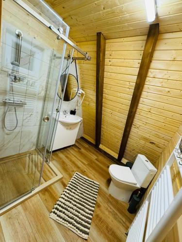 a bathroom with a shower and a toilet and a sink at Cabana Twins A-Frame 1 in Sibiu