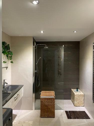 une salle de bain avec douche et lavabo dans l'établissement Cœur du vieux Lyon et zone de loisir, à Lyon