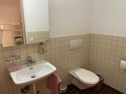 Private Room with Independent Entrance in Basel