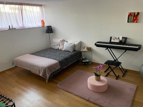 Private Room with Independent Entrance in Basel