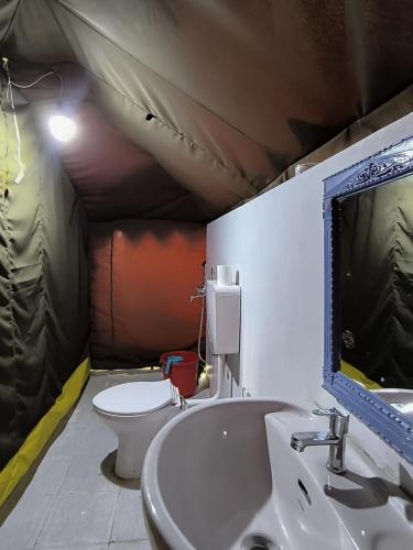 a bathroom with a toilet and a sink and a mirror at Tyakshi Summer Camp in Turtok