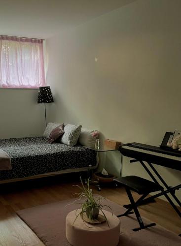 Private Room with Independent Entrance in Basel